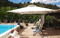 Cherry finca